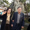 삼례동초등학교 이미지