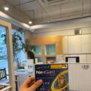 라임 동물병원 이미지