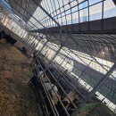 곰실목장 이미지