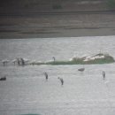 군산시-03039 이미지