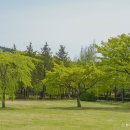 남구-142 이미지