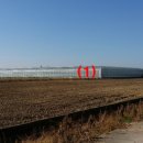 덕진-133 이미지