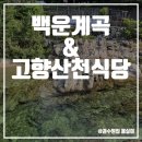 고향산천 | (포천시) 백운계곡 근처 <고향산천식당>에서 여름 계곡 즐긴 후기