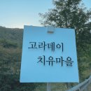 태기산치유마을 | 강원도 오토캠핑 고라데이마을 — 계곡 힐링 찾는 워킹맘·아빠들의 선택