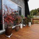 펜션카페윤앤박 이미지