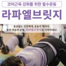 라파엘케어 이미지