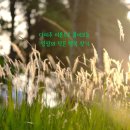 자꾸 예민해지는 나를 위한 신경계 연습: '글리머(Glimmer)' 이미지