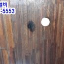 경기도 수원시 권선구 구운중로31번길 23 이미지