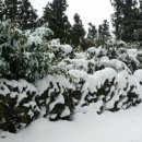 기두농장 이미지