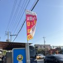 신탄진고네거리 | 2023 대덕물빛축제 대청호대덕뮤직페스티벌 DDMF 10cm 보고 온 후기