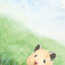 인성 Daum카페