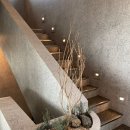 커들스테이 이미지