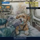 수원-0954 | 응급시리즈 #408 야간 응급병원, 처음이라 당황스러우신가요? 이렇게 하시면 됩니다.(야간 응급병원...