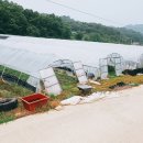 덕림농장 이미지