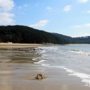 바다로 가는 길목 이미지