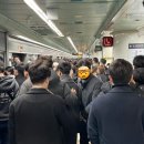 형노가정육식당 이미지