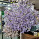 거시기 감자탕 이미지