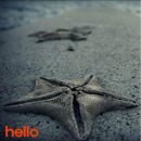 헬로우(HELLO) 이미지