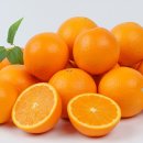 오렌지 이미지