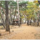 표충사놀이터(=표충사야영장) 이미지