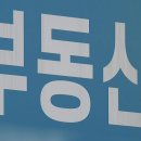 새로공인중개사사무소 이미지