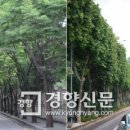 노원로(남측) 경향신문