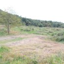 호두태양광발전소 이미지