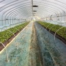 선비골농장 이미지