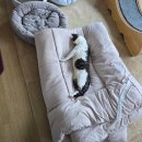 진보동물병원 이미지