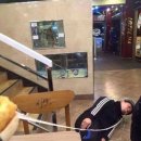 어린음악대어린화가들양벌학원 | 8월: 글리머 투데이!