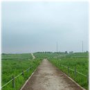 세 며느리식품 이미지