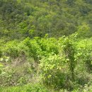 묵산미술박물관 이미지