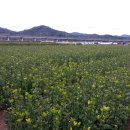 늘푸르름농장 이미지