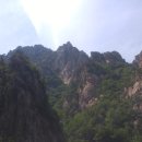 신화태권도 이미지