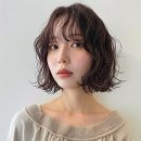 헤어 봄 이미지