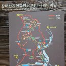 연못들6 | 대전 장태산자연휴양림 볼거리 총정리｜숲길과 전망대까지