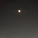 달빛 - 부산진구 서면문화로 23 | 달빛