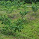 이상봉농장 이미지