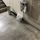 햇살머믄 꼬마김밥(부영점) 이미지