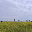 동광로7길 45 | 또❗️혼자 떠나는 제주여행 2탄 (이호테우,이재모피자,유주얼커피,어드브레드,준클라시코,소품샵 투어...