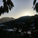 이일농장 이미지