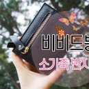 비비드봉 이미지