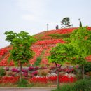 미사한강4호공원 이미지