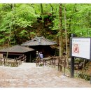 방아다리 이미지