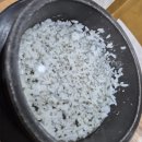 송광우리순두부 네이버블로그