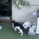 작가의산책길 | [서울/합정] 박용만 작가님 <지금이 쌓여서 피어나는 인생> 북토크 후기(feat. 마음산책)