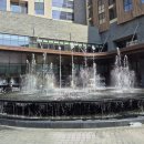 풍기선비골인삼시장 | 🍁 11월 단풍 절정기, 가족과 함께한 제천·단양 2박3일 힐링 단풍여행 후기