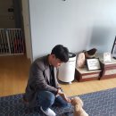 세이브독 이미지