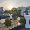 아트프라자 이미지