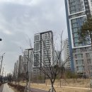 제일풍경채2차 청람중학교 방면 횡단보도(321동 앞) | 경기도 평택 고덕,서정리 지역분석 및 임장 후기 2탄 (ft.재개발,재건축,1단계, 2단계, 3단계)